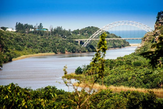 The Tree House Rennies Beach Port Edward Kwazulu Natal South Africa Complementary Colors, Beach, Nature, Sand, Bridge, Architecture, Island, River, Waters