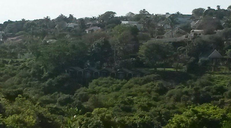 The Tusks Vincent East London Eastern Cape South Africa Train, Vehicle, Building, Architecture, House, Palm Tree, Plant, Nature, Wood, Ruin, Aerial Photography, Framing, Garden