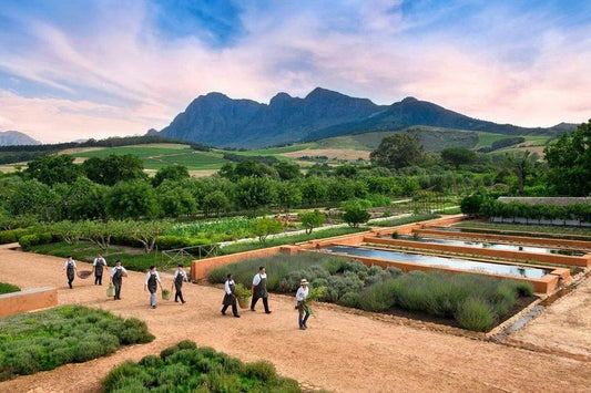 Ultimate Franschhoek Foodie And Wine Tour Franschhoek Western Cape South Africa Complementary Colors, Field, Nature, Agriculture, Garden, Plant