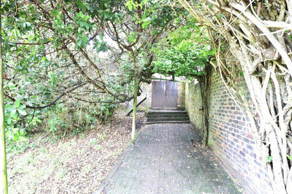 The Unexpected Cannon Rocks Eastern Cape South Africa Tree, Plant, Nature, Wood, Tunnel, Architecture, Leading Lines