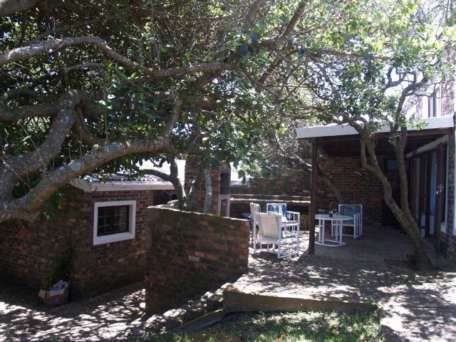 The Unexpected Cannon Rocks Eastern Cape South Africa Unsaturated, Tree, Plant, Nature, Wood