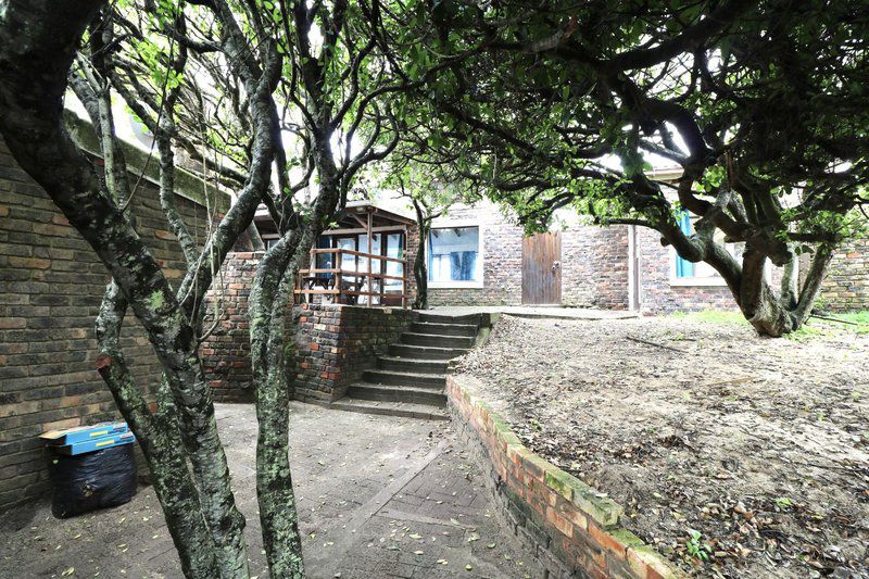 The Unexpected Cannon Rocks Eastern Cape South Africa House, Building, Architecture, Tree, Plant, Nature, Wood