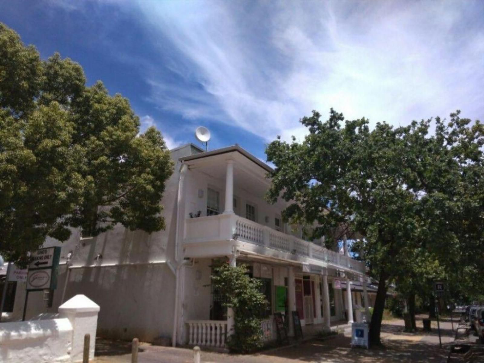 The Vibe Stellenbosch Central Stellenbosch Western Cape South Africa House, Building, Architecture, Palm Tree, Plant, Nature, Wood, Window