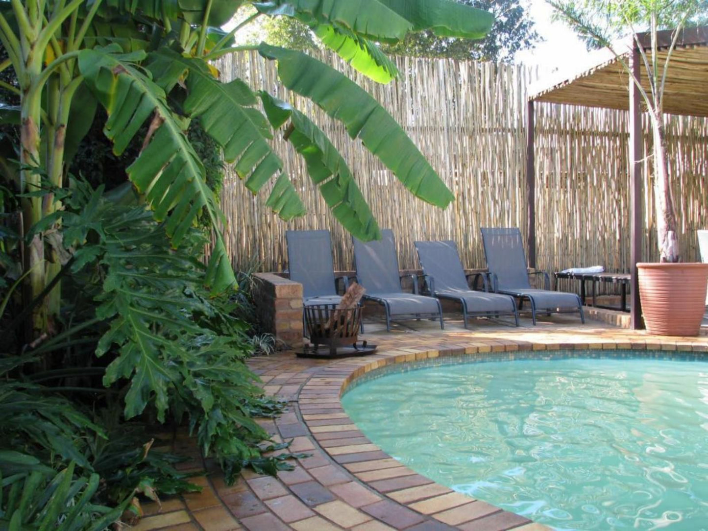 The Village In Hatfield Hatfield Pretoria Tshwane Gauteng South Africa Garden, Nature, Plant, Swimming Pool