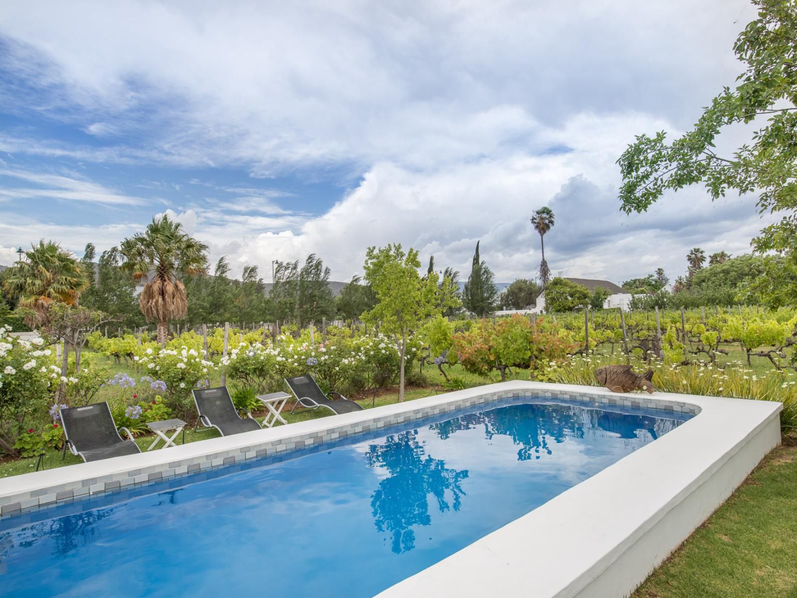 The Vineyard Country House Montagu Western Cape South Africa Complementary Colors, Palm Tree, Plant, Nature, Wood, Garden, Swimming Pool