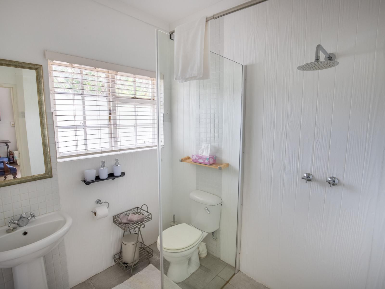 The Vineyard Country House Montagu Western Cape South Africa Unsaturated, Bathroom