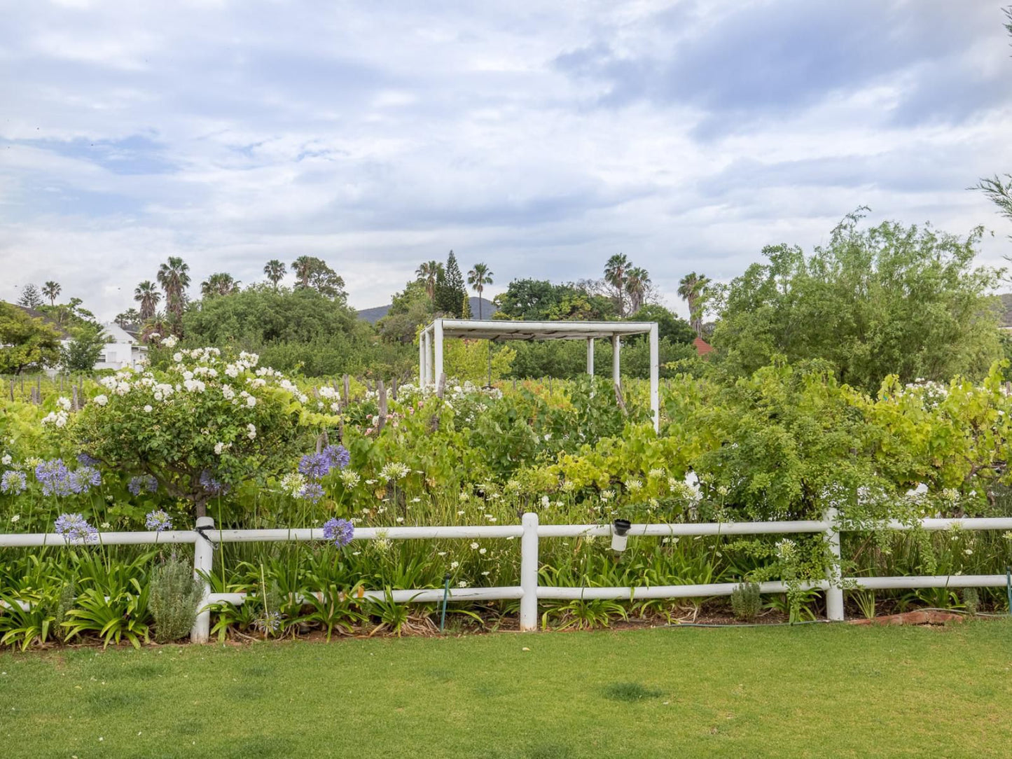 The Vineyard Country House Montagu Western Cape South Africa Complementary Colors, Plant, Nature, Garden