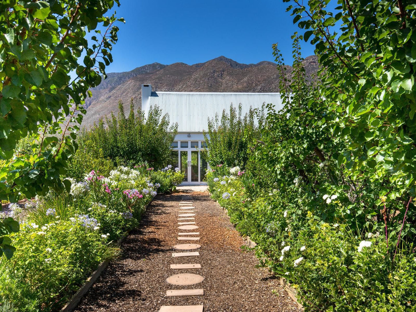 The Vineyard Country House Montagu Western Cape South Africa Plant, Nature, Garden