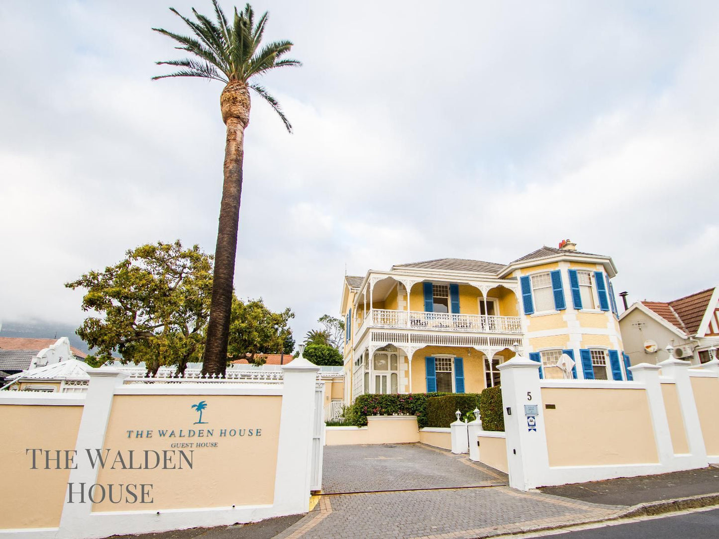 The Walden House Tamboerskloof Cape Town Western Cape South Africa Building, Architecture, House, Palm Tree, Plant, Nature, Wood