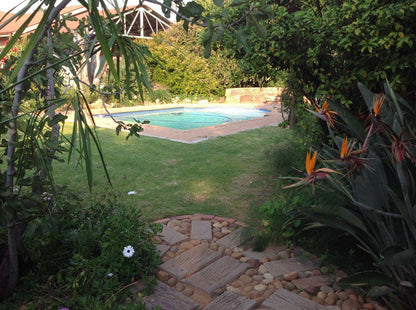 The White Giraffe Parys Free State South Africa Garden, Nature, Plant, Swimming Pool