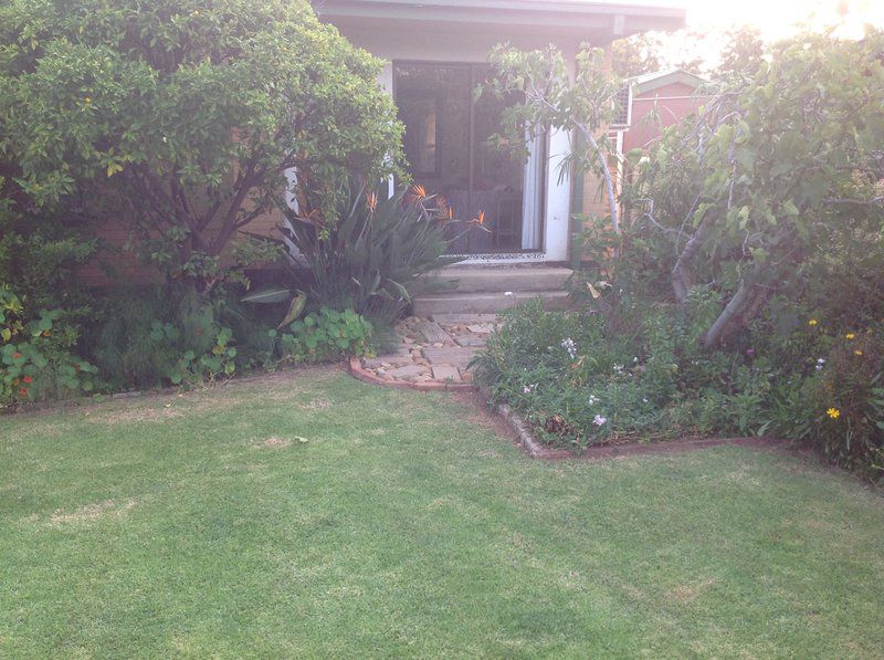 The White Giraffe Parys Free State South Africa Unsaturated, House, Building, Architecture, Palm Tree, Plant, Nature, Wood, Garden, Living Room