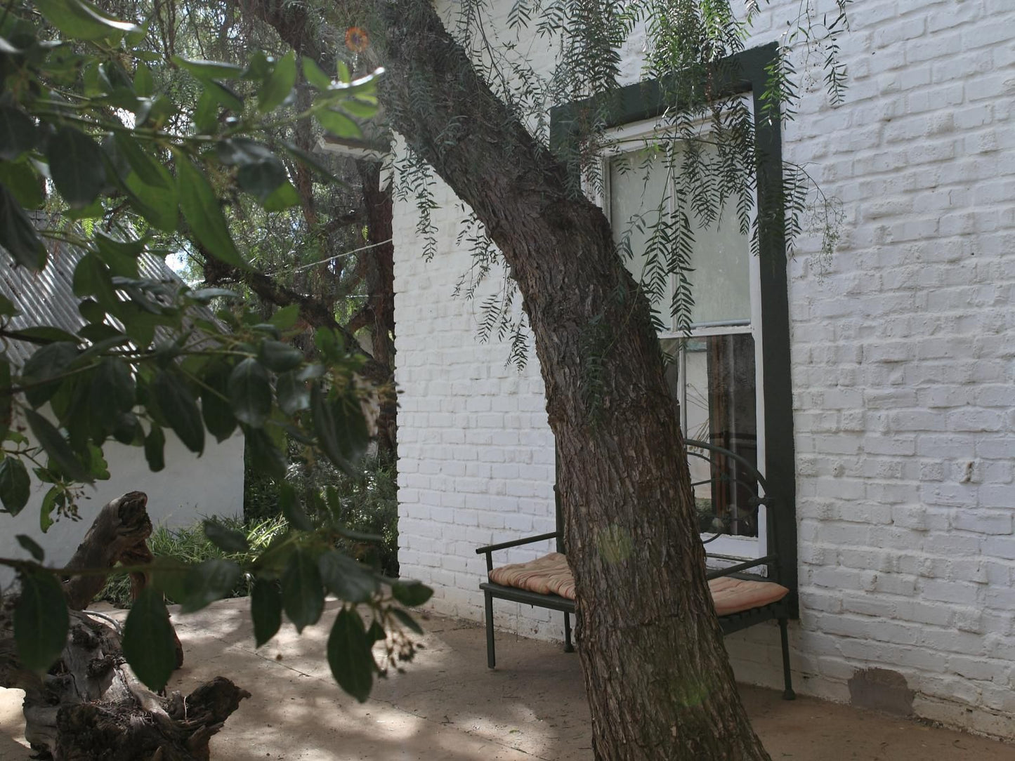 The Willow Historical Guest House Willowmore Eastern Cape South Africa Unsaturated, Plant, Nature, Tree, Wood