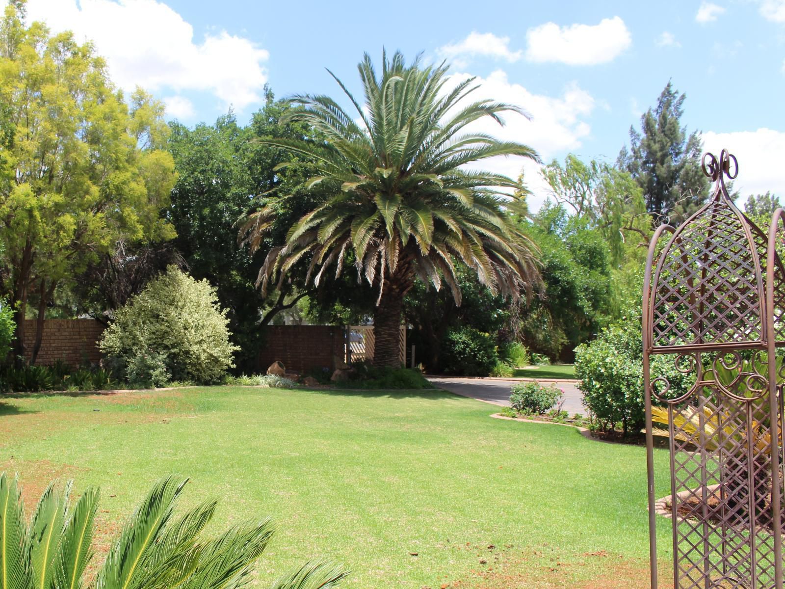 The Willow Tree Guest House Wilkoppies Klerksdorp North West Province South Africa Palm Tree, Plant, Nature, Wood, Garden