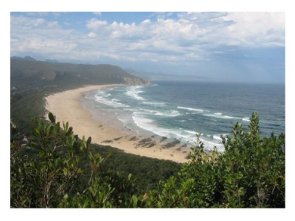 The Wood Bandb Natures Valley Eastern Cape South Africa Beach, Nature, Sand, Ocean, Waters