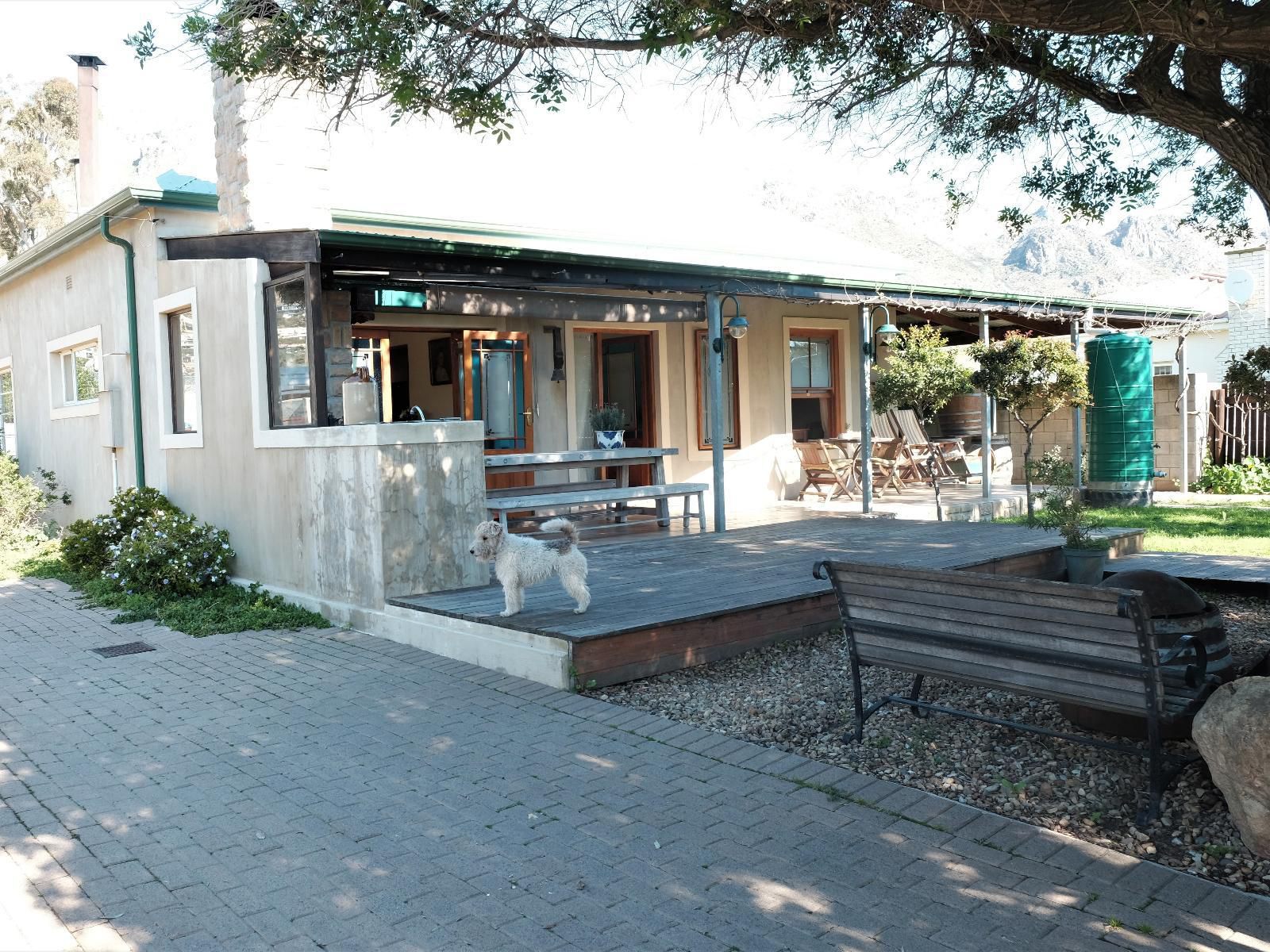 The Yard Gordons Bay Western Cape South Africa Bar