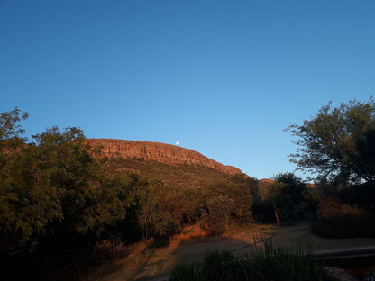 Thirsty Falls Nature Retreat Magaliesburg Gauteng South Africa Nature