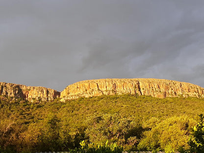 Thirsty Falls Nature Retreat Magaliesburg Gauteng South Africa Nature