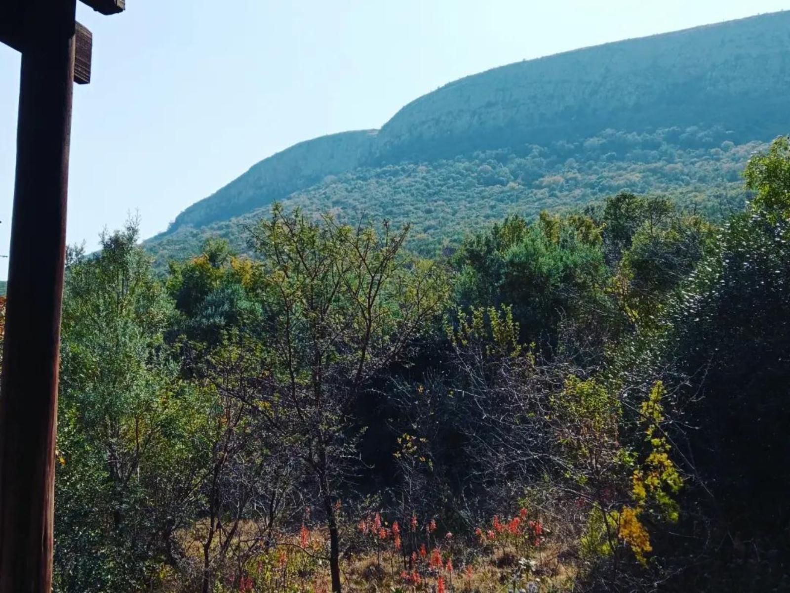 Thirsty Falls Nature Retreat Magaliesburg Gauteng South Africa Forest, Nature, Plant, Tree, Wood, Mountain