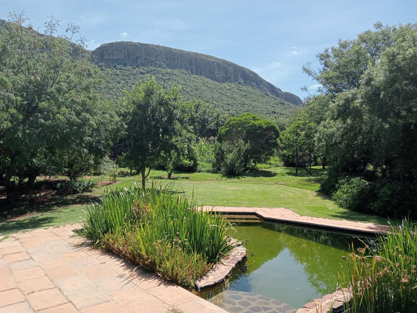 Thirsty Falls Nature Retreat Magaliesburg Gauteng South Africa Complementary Colors, Garden, Nature, Plant