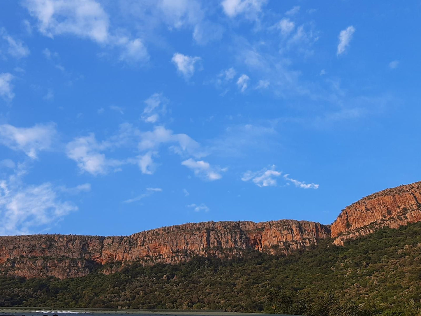 Thirsty Falls Nature Retreat Magaliesburg Gauteng South Africa Nature