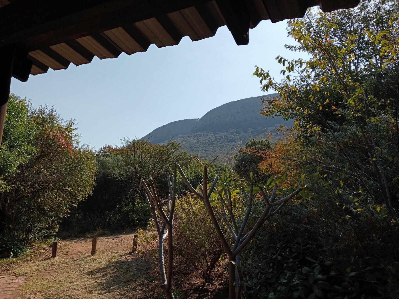 Thirsty Falls Nature Retreat Magaliesburg Gauteng South Africa Mountain, Nature, Tree, Plant, Wood