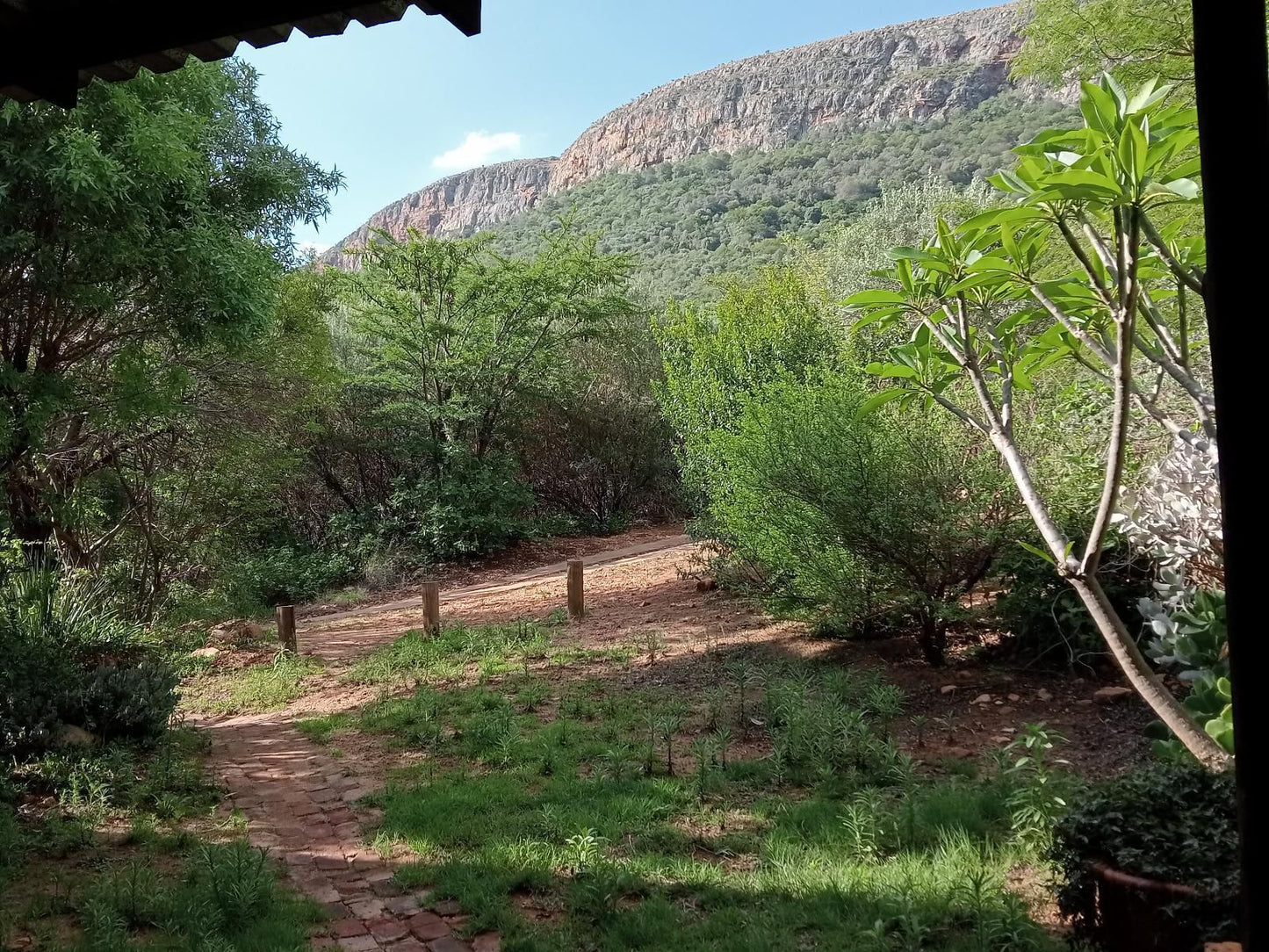 Thirsty Falls Nature Retreat Magaliesburg Gauteng South Africa Nature