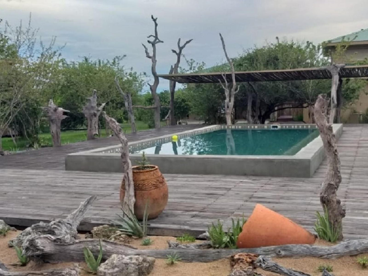 Thobolo'S Bush Lodge, Garden, Nature, Plant, Swimming Pool