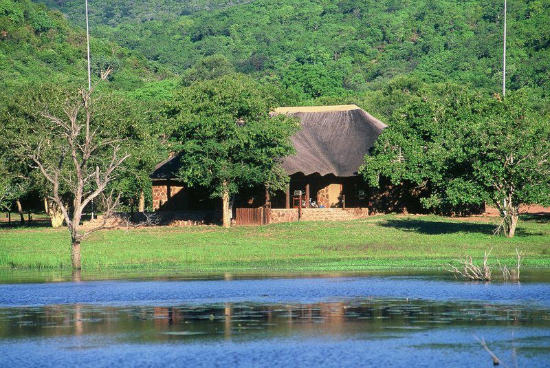 Tholo Lodge Lephalale Ellisras Limpopo Province South Africa 