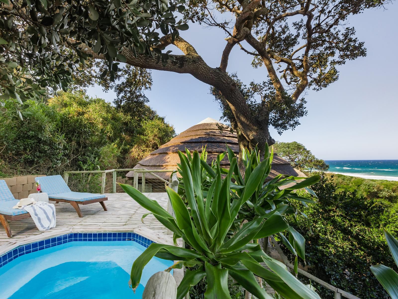 Thonga Beach Lodge Mabibi Kwazulu Natal South Africa Complementary Colors, Beach, Nature, Sand, Palm Tree, Plant, Wood, Swimming Pool