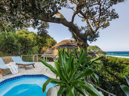 Thonga Beach Lodge Mabibi Kwazulu Natal South Africa Complementary Colors, Beach, Nature, Sand, Palm Tree, Plant, Wood, Swimming Pool