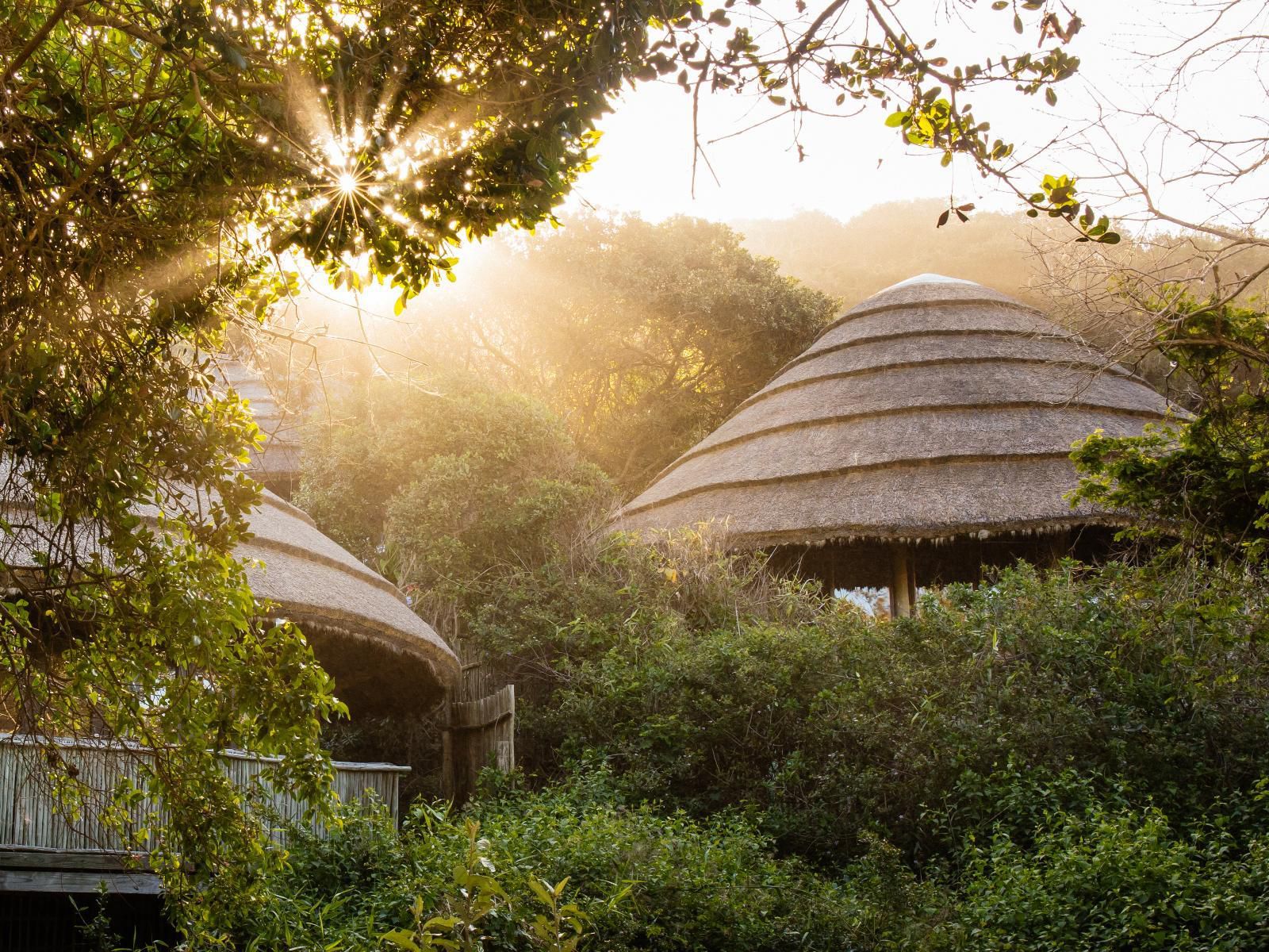 Thonga Beach Lodge Mabibi Kwazulu Natal South Africa 