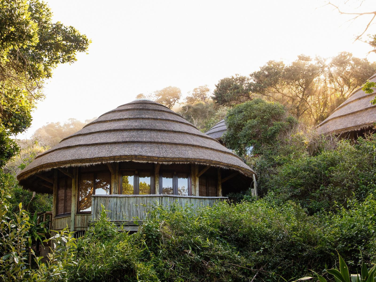 Thonga Beach Lodge Mabibi Kwazulu Natal South Africa Building, Architecture