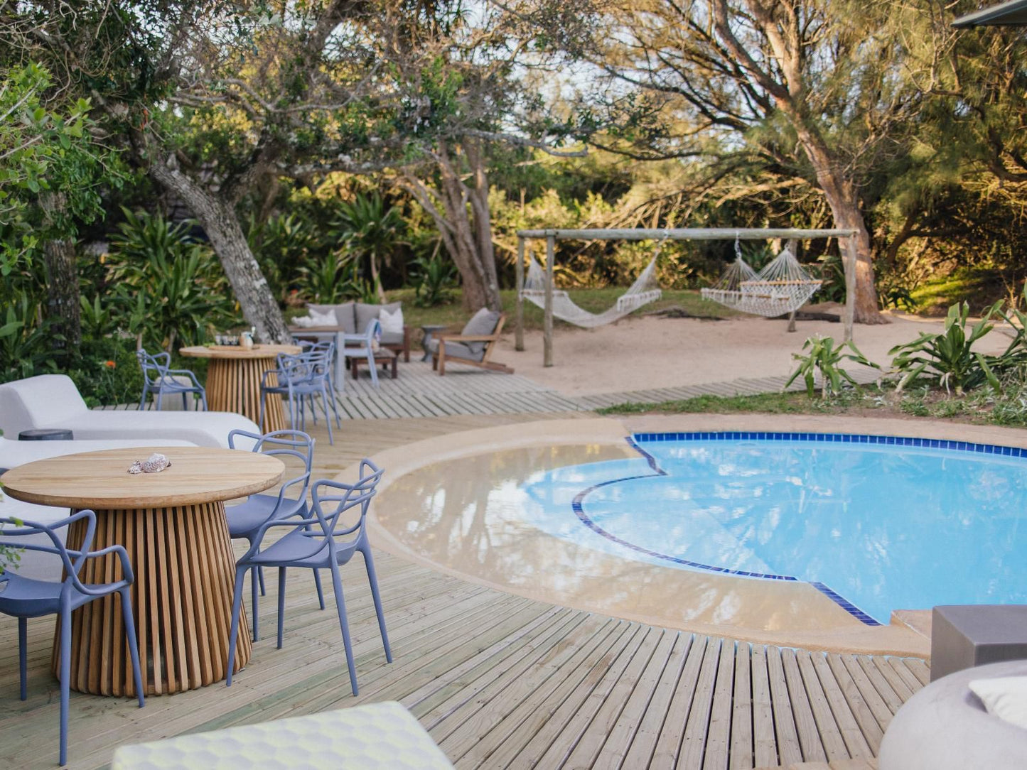 Thonga Beach Lodge Mabibi Kwazulu Natal South Africa Palm Tree, Plant, Nature, Wood, Swimming Pool