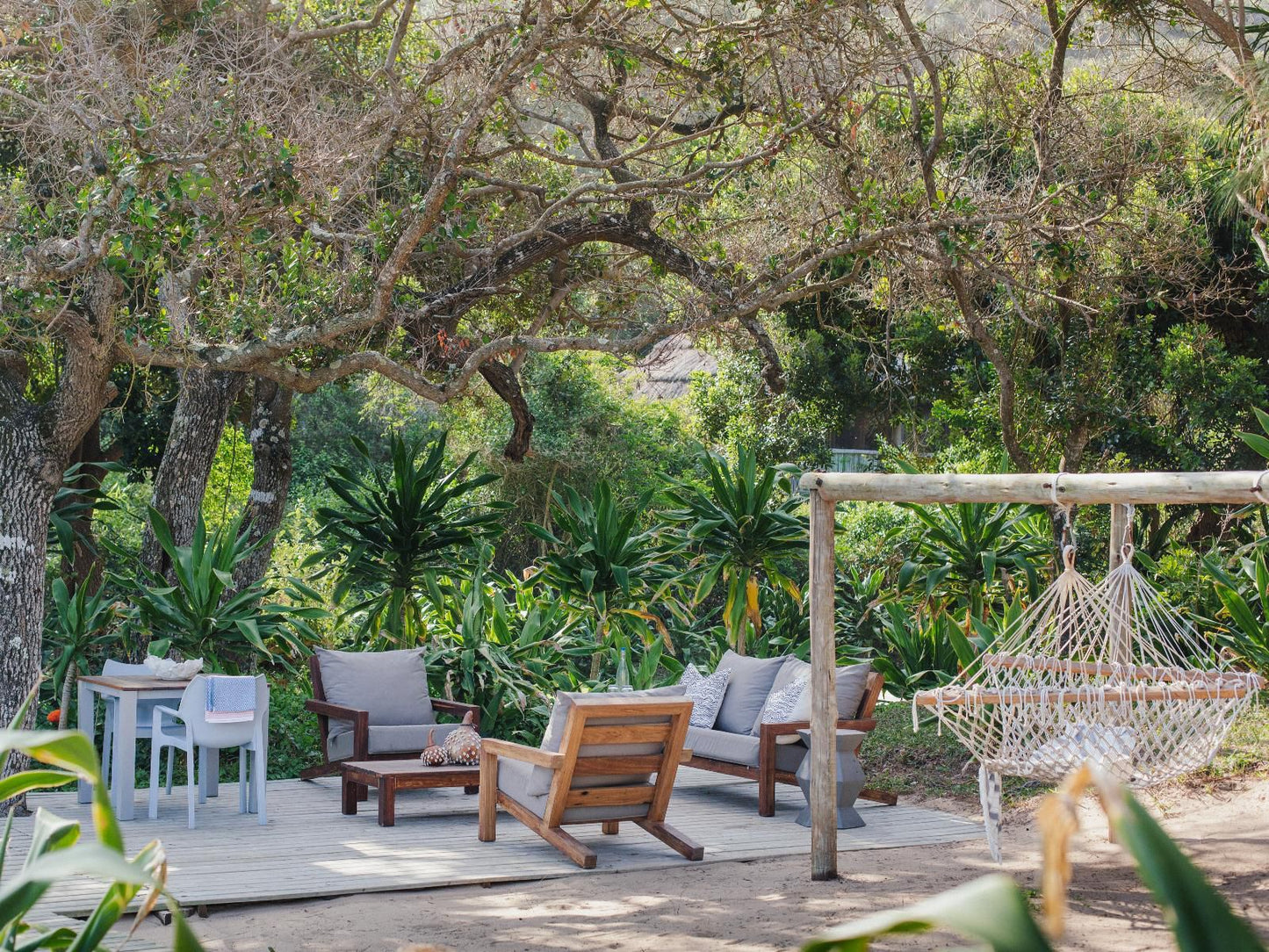 Thonga Beach Lodge Mabibi Kwazulu Natal South Africa Palm Tree, Plant, Nature, Wood, Garden