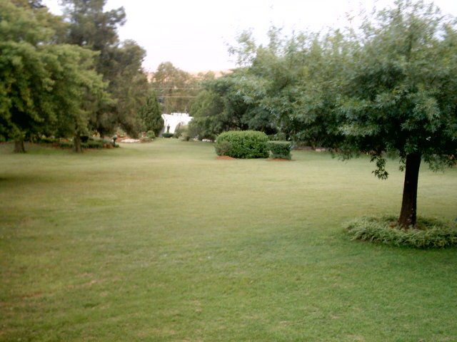 Thoriso Guest House Eikenhof Johannesburg Gauteng South Africa Plant, Nature, Tree, Wood, Garden