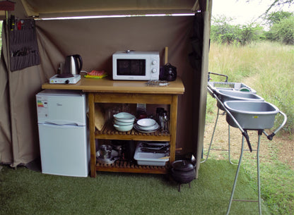 Thorn Tree Bush Camp Accommodation Dinokeng Game Reserve Gauteng South Africa 