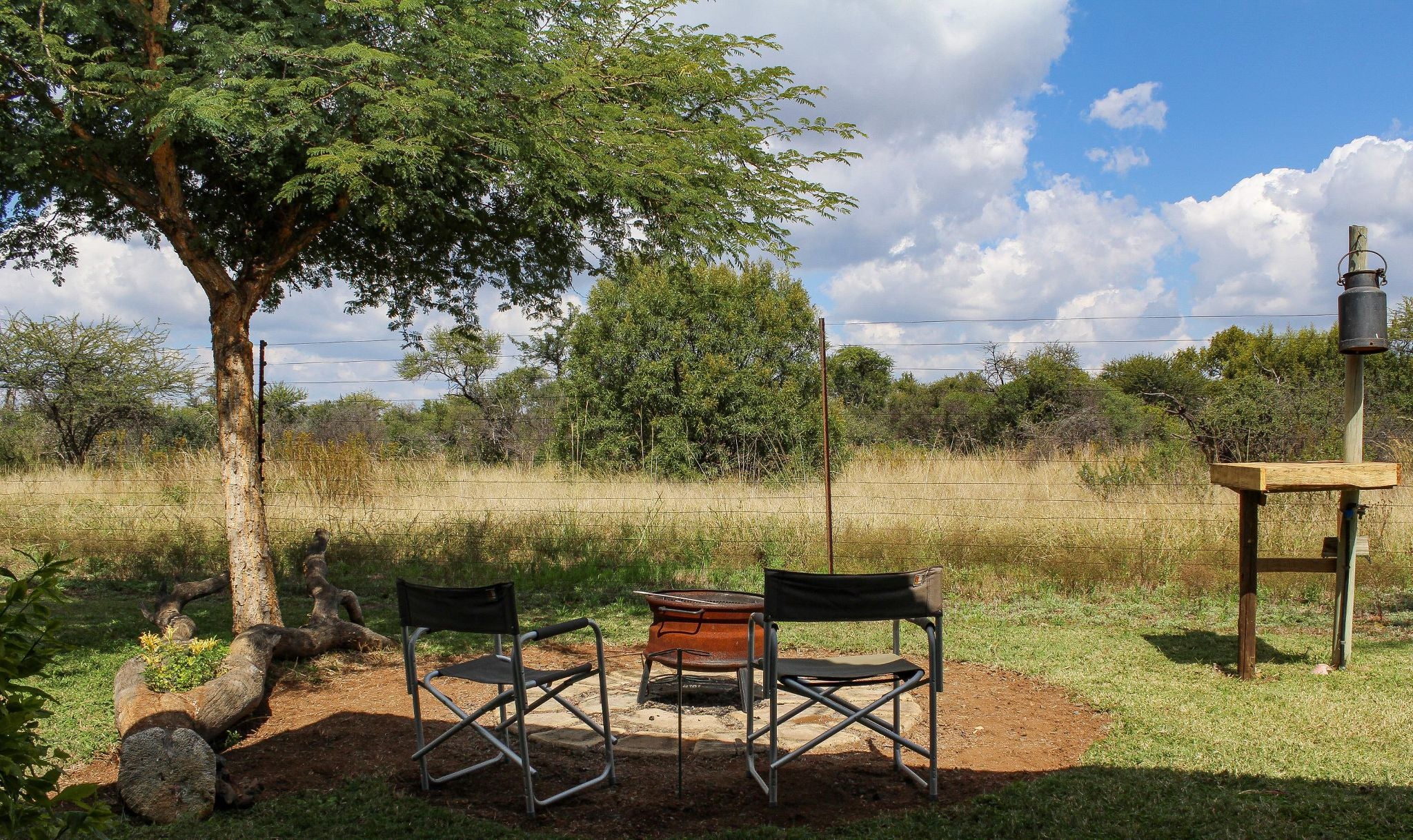 Thorn Tree Bush Camp Accommodation Dinokeng Game Reserve Gauteng South Africa Lowland, Nature