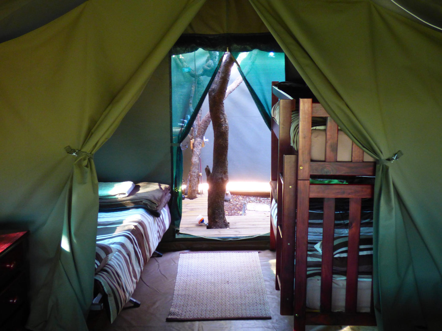 Thorn Tree Bush Camp Accommodation Dinokeng Game Reserve Gauteng South Africa Tent, Architecture, Bedroom