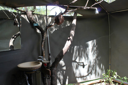 Thorn Tree Bush Camp Accommodation Dinokeng Game Reserve Gauteng South Africa Unsaturated, Drums, Musical Instrument