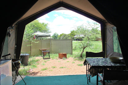 Thorn Tree Bush Camp Accommodation Dinokeng Game Reserve Gauteng South Africa 