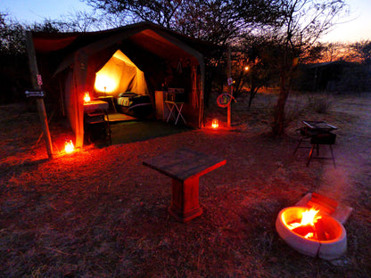 Thorn Tree Bush Camp Accommodation Dinokeng Game Reserve Gauteng South Africa Tent, Architecture