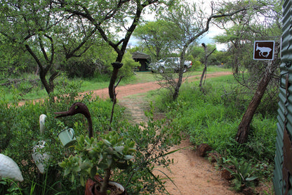 Thorn Tree Bush Camp Accommodation Dinokeng Game Reserve Gauteng South Africa 