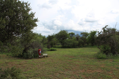 Thorn Tree Bush Camp Accommodation Dinokeng Game Reserve Gauteng South Africa Lowland, Nature