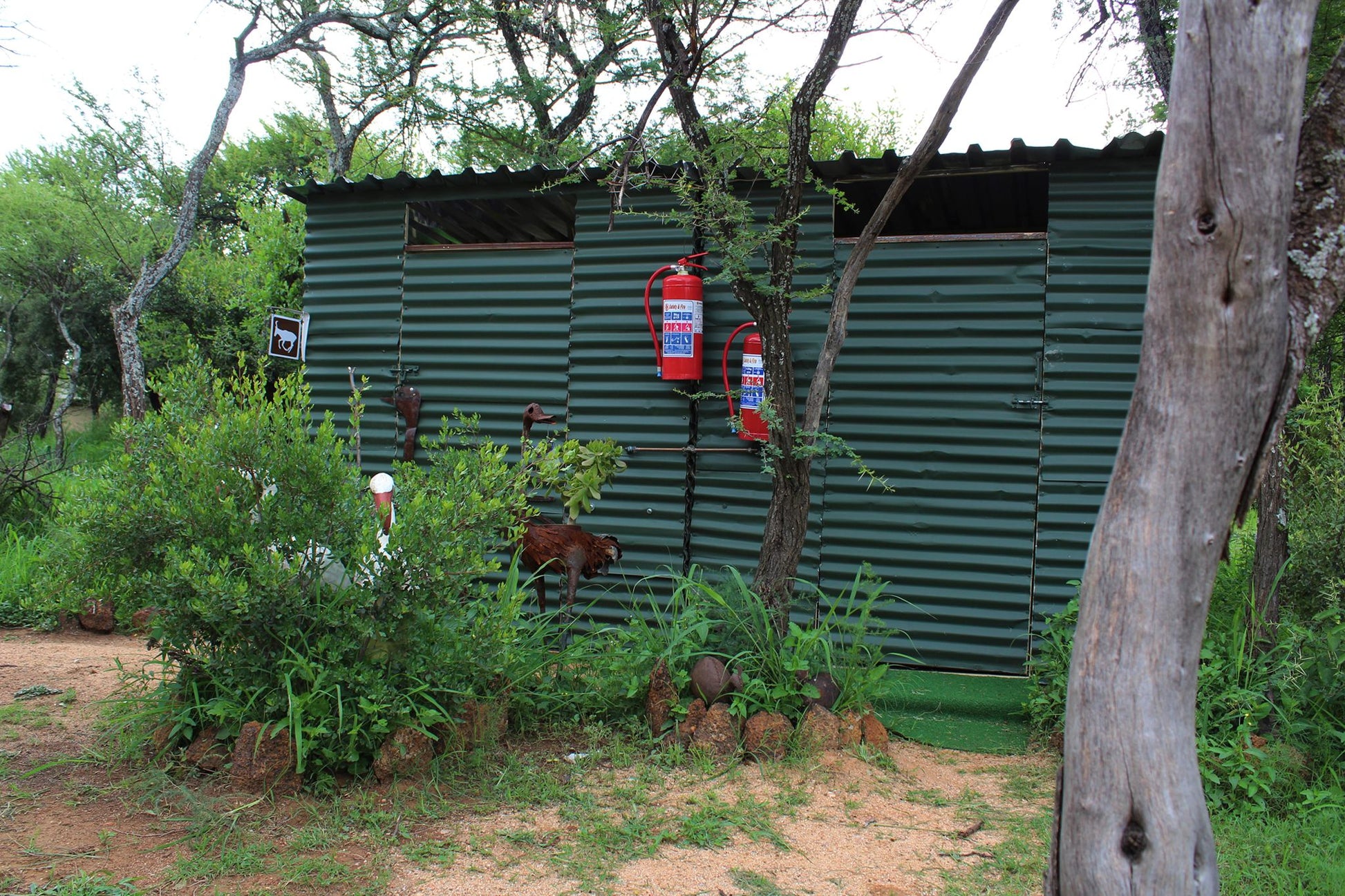 Thorn Tree Bush Camp Accommodation Dinokeng Game Reserve Gauteng South Africa 