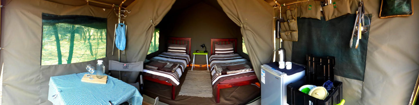 Thorn Tree Bush Camp Accommodation Dinokeng Game Reserve Gauteng South Africa Tent, Architecture, Bedroom