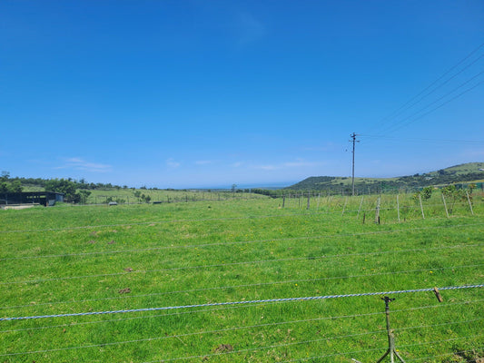 Thornhill Farm Thornhill Port Elizabeth Eastern Cape South Africa Complementary Colors, Colorful, Field, Nature, Agriculture, Lowland