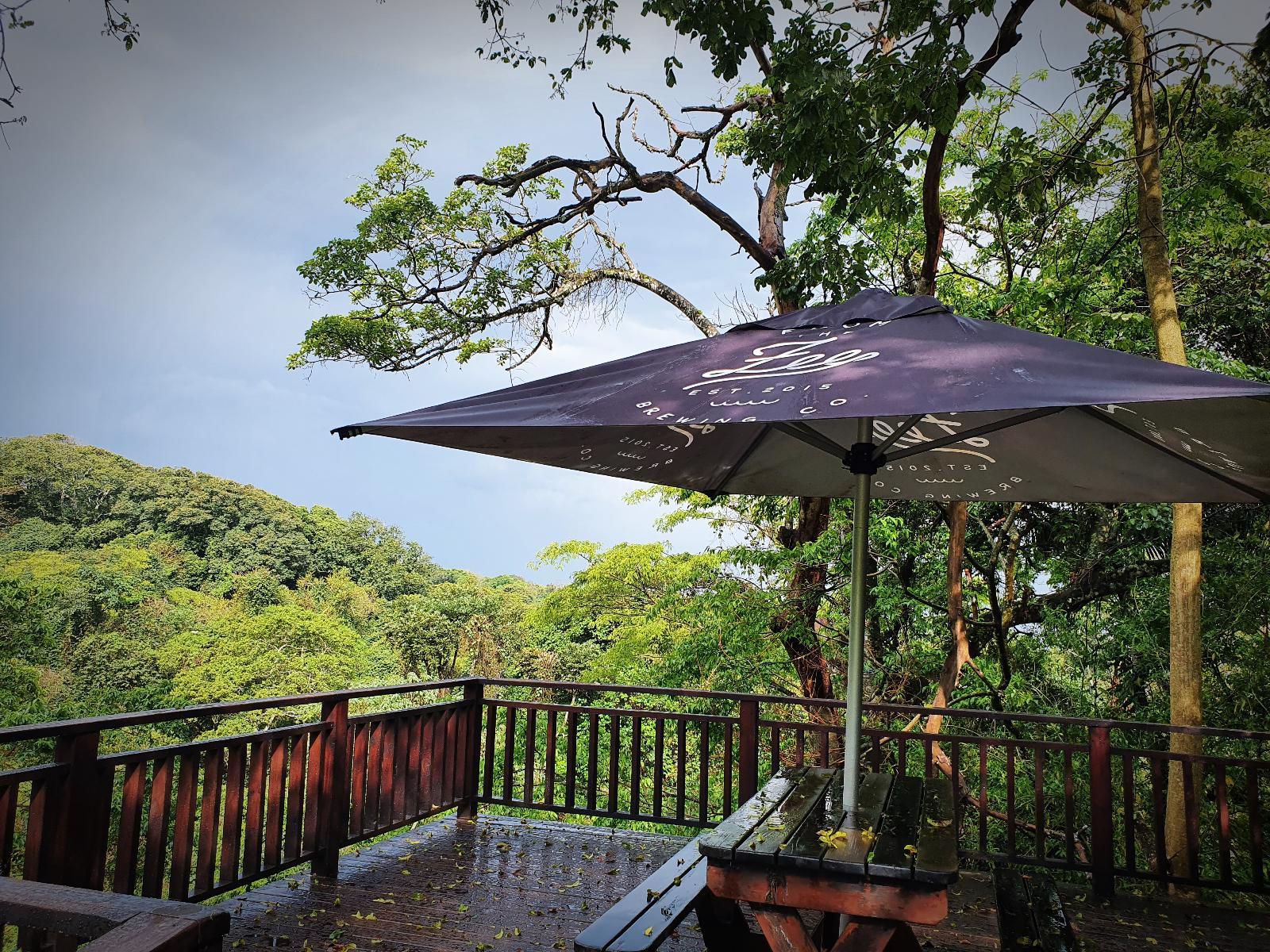 Thornleys Guest House Eshowe Kwazulu Natal South Africa Umbrella, Nature