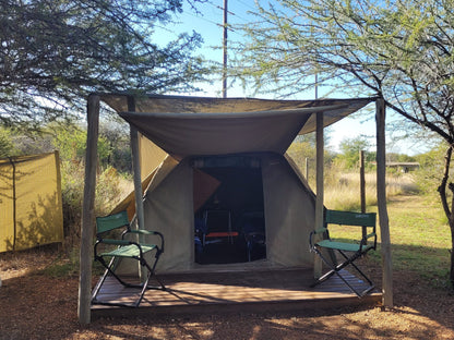 Thorn Tree Bush Camp Campsites Dinokeng Game Reserve Gauteng South Africa Tent, Architecture