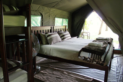 Thorn Tree Bush Camp Campsites Dinokeng Game Reserve Gauteng South Africa Tent, Architecture, Bedroom