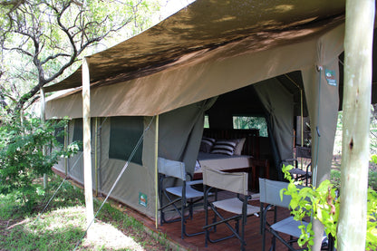 Thorn Tree Bush Camp Campsites Dinokeng Game Reserve Gauteng South Africa Tent, Architecture